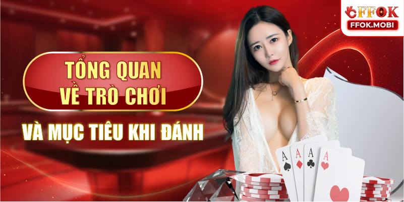 Tổng quan về trò chơi và mục tiêu khi đánh