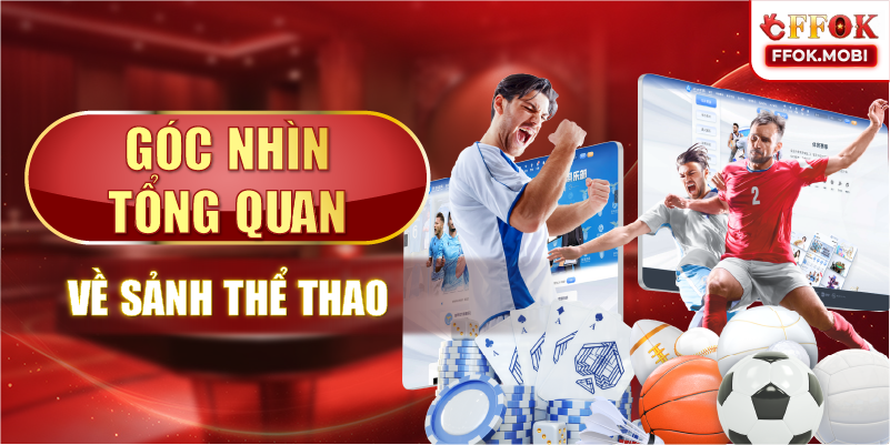 Góc nhìn tổng quan về sảnh thể thao