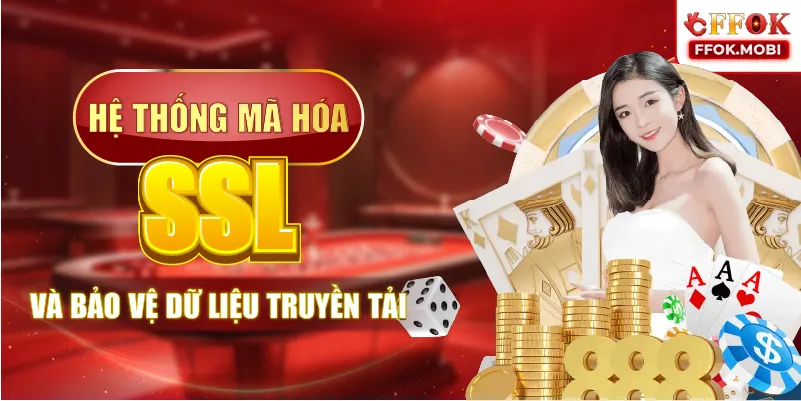 Hệ thống mã hóa SSL và bảo vệ dữ liệu truyền tải